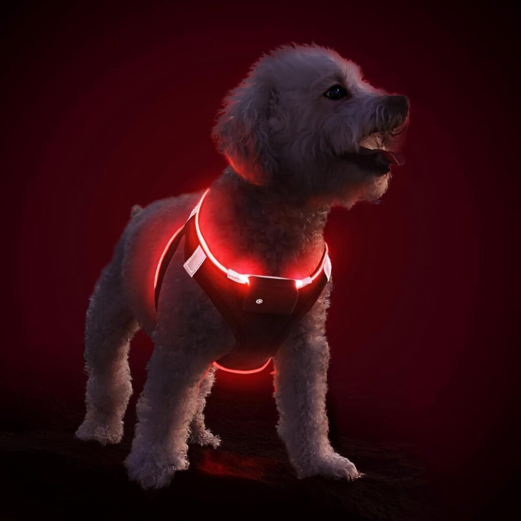 Los 15 accesorios imprescindibles para el bienestar de tu perro en 2025 12 arnes luminoso