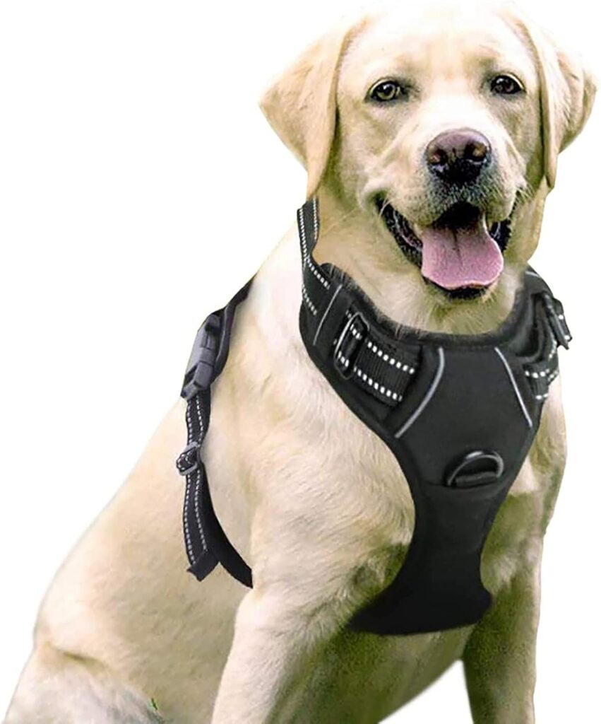 Los 15 accesorios imprescindibles para el bienestar de tu perro en 2025 3 arnes perro