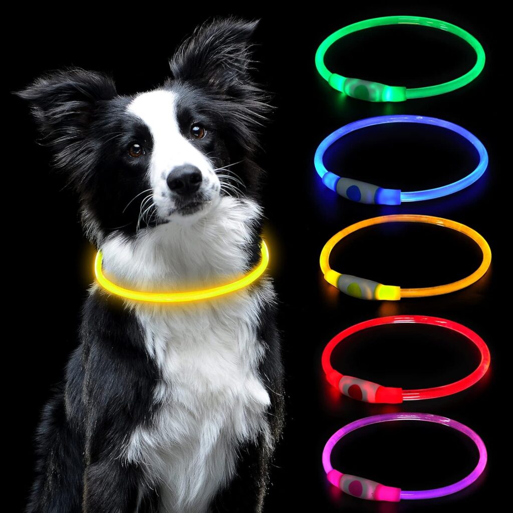 Los 15 accesorios imprescindibles para el bienestar de tu perro en 2025 13 collar luminoso