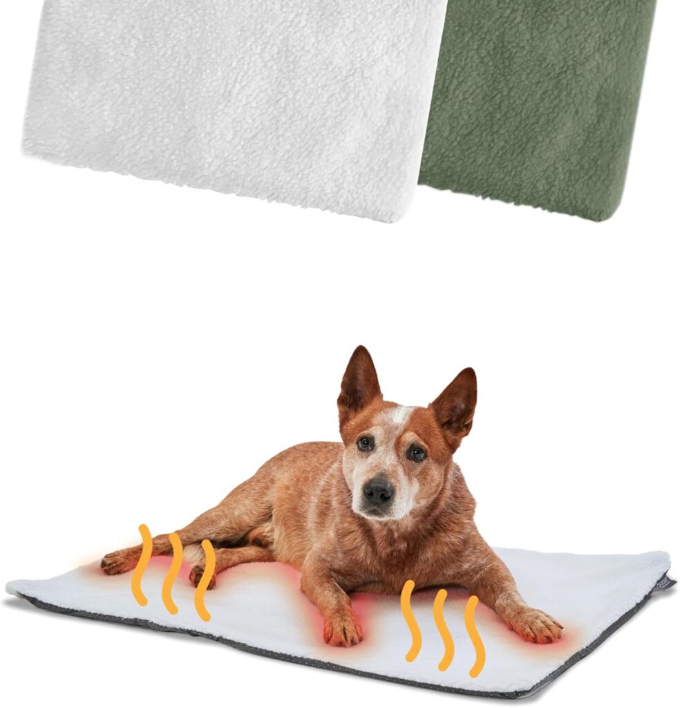 Los 15 accesorios imprescindibles para el bienestar de tu perro en 2025 16 manta termica perro