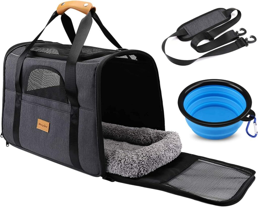 Los 15 accesorios imprescindibles para el bienestar de tu perro en 2025 11 mochila viaje